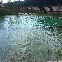 Referenčne slike Herbal glamping resort Ljubno