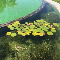 Referenčne slike Herbal glamping resort Ljubno
