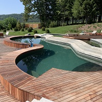 Referenčne slike modernih naravnih bazenov